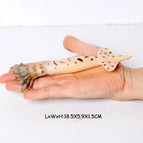 squid-4