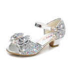 Silver2 / 31(Insole20cm) / China Mainland