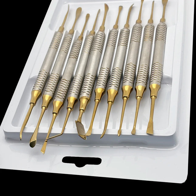 10 Pcs Dental Implant Periosteal Elevator Set for Periodontal and Maxillofacial Surgery Retracting Reflecting Tool Kit