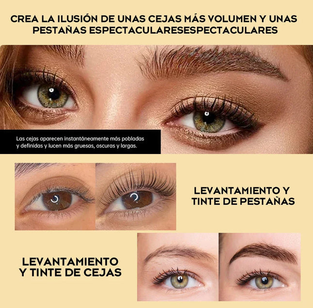 Gollee Eyebrow Tint Set 6ml Natural Classic Black Eyelash Brow Tint Kit Semi-Permanent Lasting Brow Lash Tint Waterproof Set