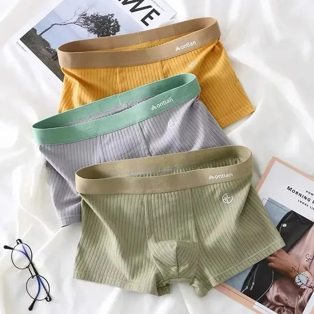 3 PCS Boxer Shorts Men Underwear Male Cotton Sexy Underpants Comfortable Breathable Panties Youth Sports Boxershorts M-3XL