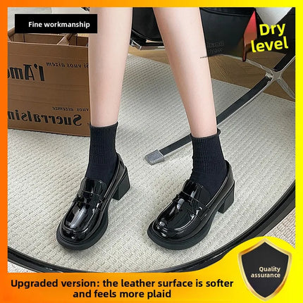 Bla Chunky Heel Mary Janes Women's oes Spring 2026 New High Heel Loers Retro Briti Sle Single oes Faionable Cas...