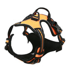 Orange / L (17.5-22.5KG)