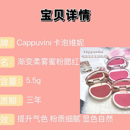 Gradual Soft Mist Pink Blush Cream Mousse Blush Palette Apricot Cheek Tint Blusher Matte Peach Rouge Face Contour Shadow Makeup
