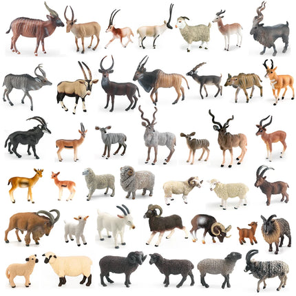 Realistic Farm Animal Shropshires Merino Sheep Goat Argali Antelope Gazella Waterbuck Model Figures Birthday Christmas Toys Gift