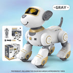 Robot dog English