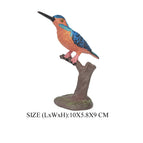 Kingfisher -2