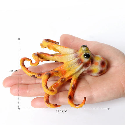Simulation Marine Mollusc Plastic Model Figures Nautilus Ammonite Squid Octopus Figurine Sealife Animal Educational Toy For Kids
