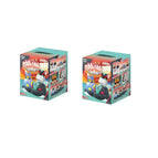 random 2pcs
