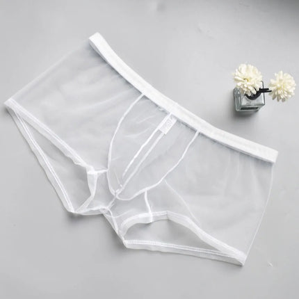 Transparent Mesh Men's Boxer Briefs - Breathable Ultra-Sexy Underwear Perfect for Casual Wear & Special Nights