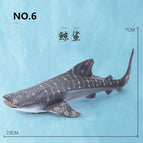 whale shark