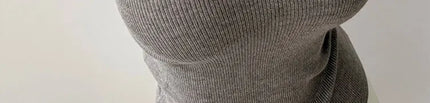 Korean Sle Knitted Vest Women's Base Layer Tank Top Svel f High Collar Spring Autumn Winter Inner And Outer Wear