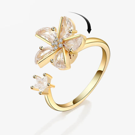 Fidget Ring / Bague Fidget