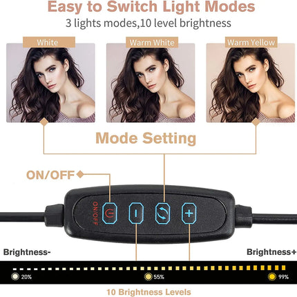 Ring Light Desktop Stand Phone Holder,3000K-6000K 12" LED Dimmable Selfie USB Powered Conference Light for Vlogs,YouTube リングライト