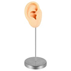 Flesh Right Ear / 1 set With Stand