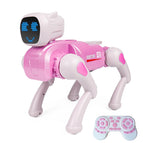 X1 PINK