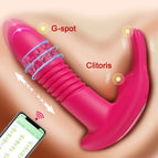 CD29-APP-RD