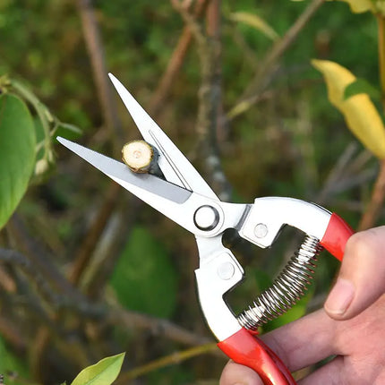 Pruning shears picking shears stainless steel straight blade anti slip handle gardening flowers bonsai orchard popular tools