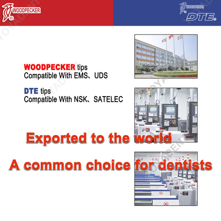 Woodpecker Tips DTE Dental Ultrasonic Endo Scaler Tips Scaling Tips Fit EMS UDS NSK SATELEC Scaler Handpiece Dentistry Tools