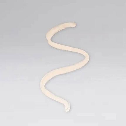 SIIMUNANA Lip Liner Pencil Precise Lip Contour Long-Lasting Pigmented Lip Pencil For Daily Makeup Use Plump Lip Liner