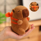 T / 12cm