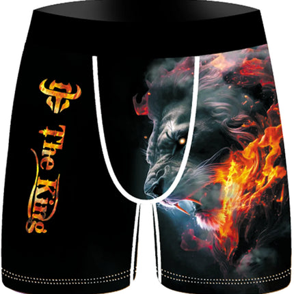 Random 3Pcs Fashion Print Men's Boxer Shorts Ice Silk Underwear Underpants Cool Breathable Loose Fit Panties Wholesale Lots