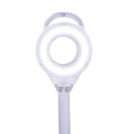 LED Floor Lamp Magnifying Salon Beauty Cold Light Multifunction Desk Lamp Esthetician Magnifying Nail Art Tattoo Vertical Light