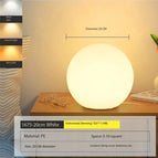 Trichromatic light / Diameter 20 cm / China Mainland