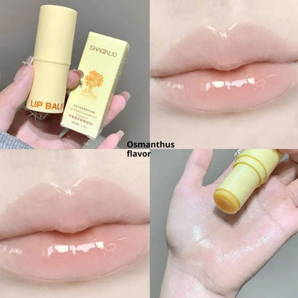 Grape Jasmine Flavors Moisturizing Hydrating Base Lip Balm Set Makeup Lip Care Daily Care Balm For Women and Men