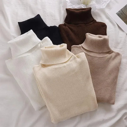 Korean High Collar Knitted Long Sleeve Base Shirt Pure Color Slimming Versatile Underwear Elegant Inner Long Top Women's Fashion
