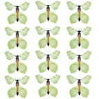 12PCS 1