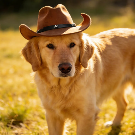 Pet Stylish Western Cowboy Hat Adjustable Headwear For Outdoor Summer Cat &Dog Accessories Travel Photography Decoration.