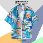 CS2024AT3298 / 5XL