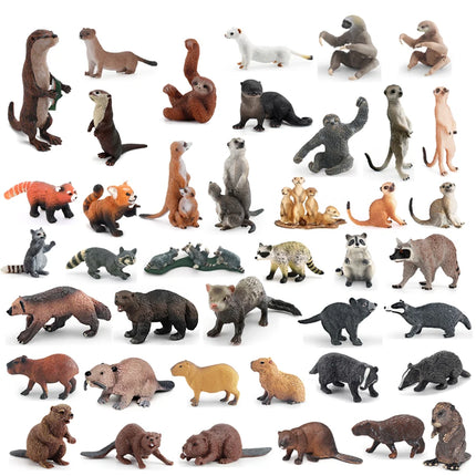 Realistic Forest Wild Animal Capybara Beaver Badger Wolverine Raccoon Meerkat Badger Model Figure Collector Toys for Kids