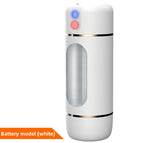 Battery Type