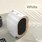 White European plug