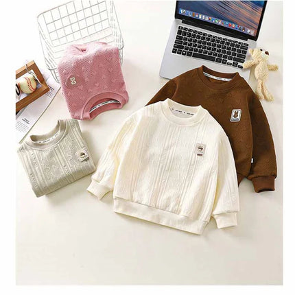 Boys Girls Casual Sweatshirt Autumn Spring Kids Long Sleeve Warm Pullover Children Clothing Teen Sportswear Coats