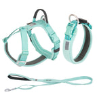 Aqua Green 3-piece Set / L