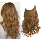 Golden Auburn / 18inches