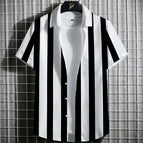 3XL / BDS113