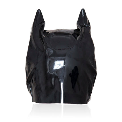 Exotic Fetish Accessories of Sexy Full Face Eye Mask With Open Mouth Cosplay Men Women Games Flirt Stage Club Erotic Products