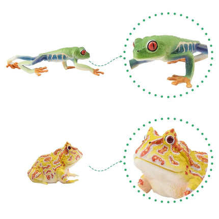 12Pcs Simulation Frog Reptile Animals Model Toy Mini Frogs Figures Dolls Action Figurines Toys Children Set Gift Cake Decoration