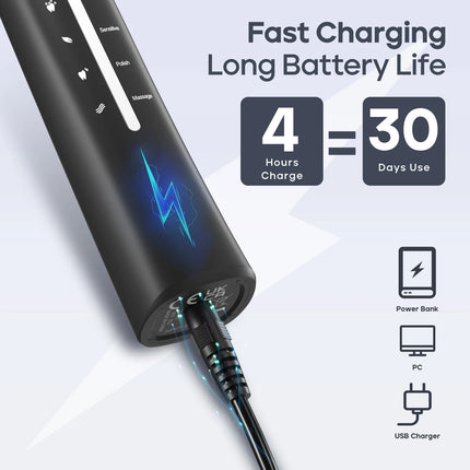 Seago Electric Toothbrush Tooth brush USB Rechargeable Adult Ultrasonic Teeth Cleaning 10 Replacement Toothbrush Heads