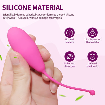 6 pcs Silicone Geisha Kegel Balls Pelvic Floor Muscle Training Ball Exercise Ben Wa Vaginal Tightening Balls Sex Toy for Women