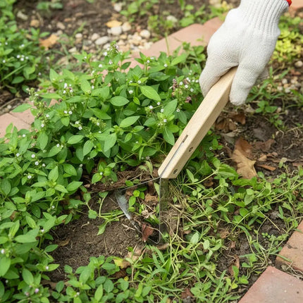 Stainless Steel Manual Weeder Lawn Mower Road Crack Weeding Tool Vegetable Garden Soil Loosening Tool Grass Scraper Tool Manual