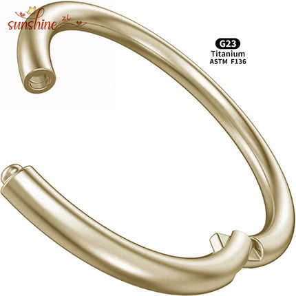 5PCS G23 Titanium Nose Piercing Implant Grade 12G 14G 16G 18G 20G Clicker Diaphragm Tragus Piercing Sexy Body Jewelry Wholesale