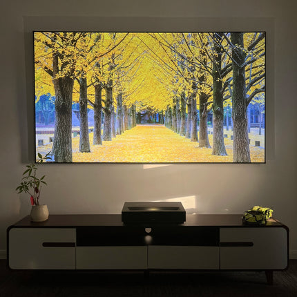 2026 NEW Dragon Series Fresnel ALR Fixed Frame Projection Screen Ambient Light Rejecting for Ultra Short Throw UST Projectors