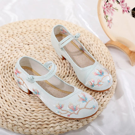 Shoes for Women Embroidery Ethnic Style Traditional Old Beijing Streetwear Dance Vintage Cheongsam Chinese Style Hanfu Qi Pao