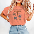 CO / XL