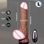 Fo29-F-L